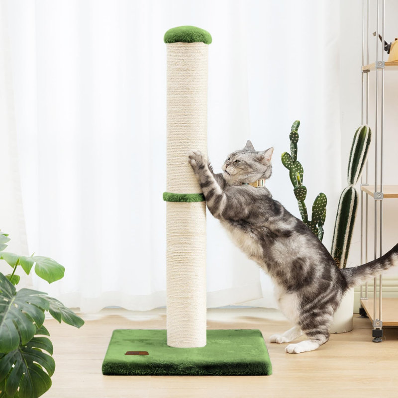 Arbre à chat 34 po avec corde en sisal naturel 4,3 po, Vert
