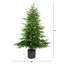 Sapin de Noël-972129109
