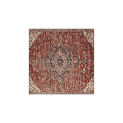 Tapis brun soyeux et moelleux