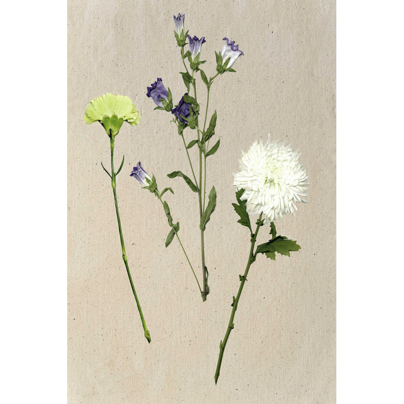 Jolies fleurs pressées I, H 12 po x l 8 po