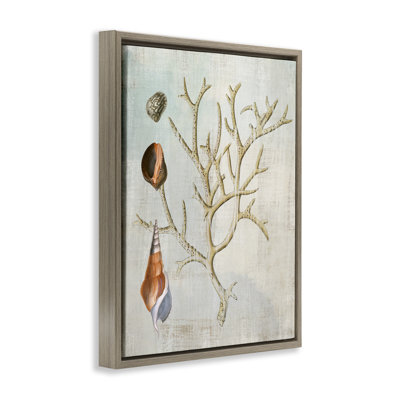 Seashells and Coral Branch Floating Frame, design by Susan Arnot