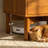  Mid-Century Modern Nightstand Set with Open Shelf and Charging Station Set of 2-1258206352