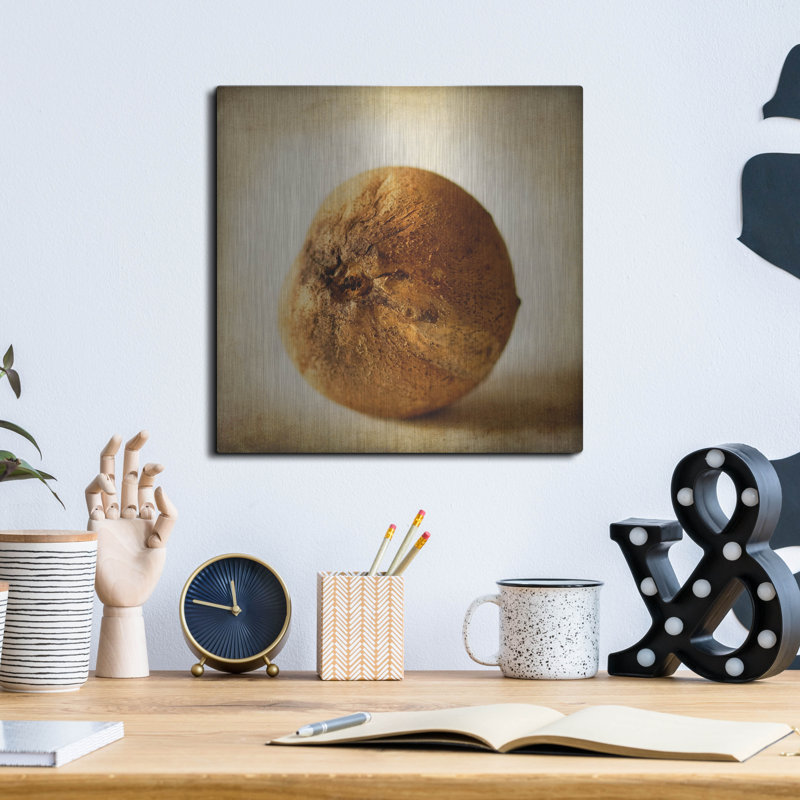 Gracie Oaks «Oak Pods 4» par Jessica Rogers, art mural en métal, H 12 po x l 12 po