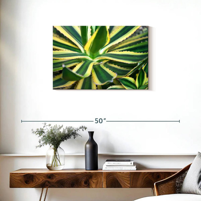 Harnek Pure Agave, 20" H x 30" W