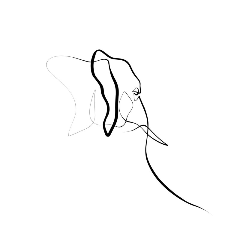 Elephant I, 45.72 cm H x 45.72 cm W