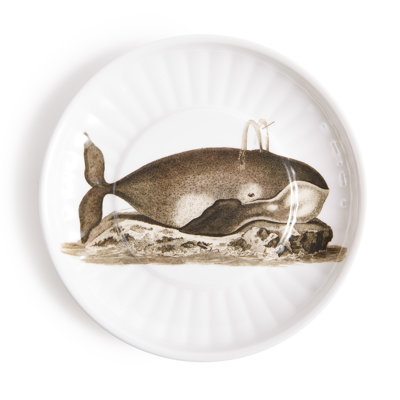 WHALE SM. Ensemble de 4 assiettes en papier