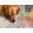 Cream Geometric Polypropylene Stain Resistant Living Room Carpet-82896976