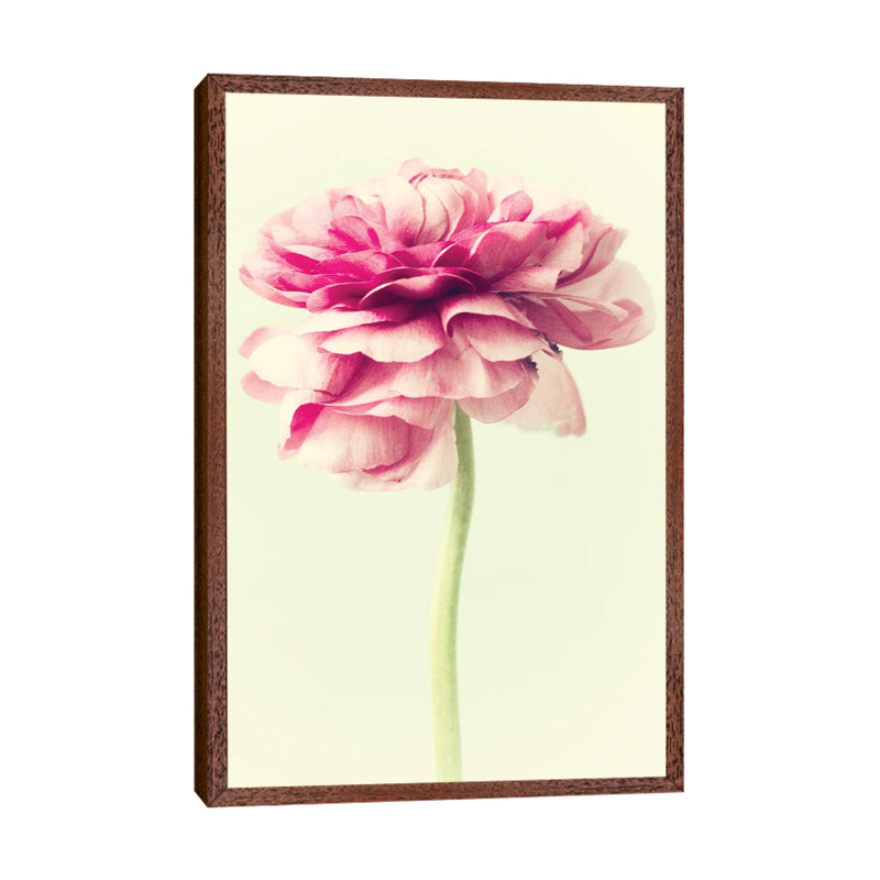 Lush Botanical I by Judy Stalus - Floater Frame Gallery-Wrapped Canvas Giclée on Canvas, 66.04 cm H x 45.72 cm W, Brown