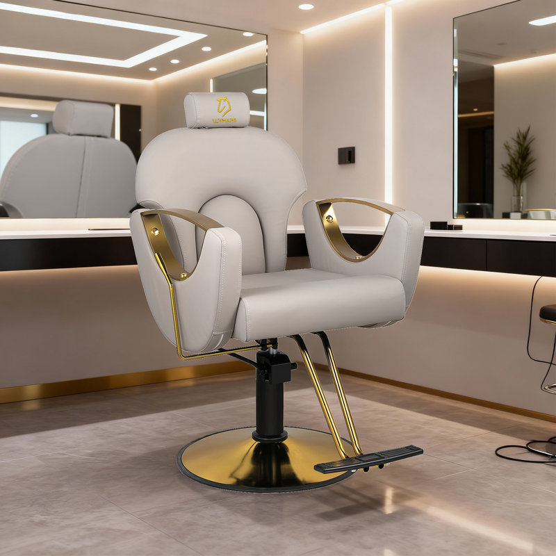  Fauteuil de coiffeur inclinable Fauteuil de salon inclinable à hauteur réglable Fauteuil de barbier hydraulique Fauteuil inclinable hydraulique Pompe Fauteuil de shampooing Salon de beauté (gris)