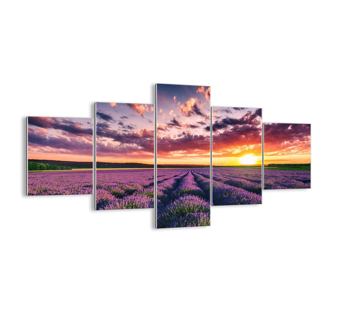 5-tlg. Glasbilder-Set - Fotografie „Lavender World”