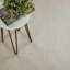 Tapis ivoire Paray-22587702