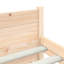 Bed Frame Solid Wood-499479954-483254154