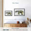 Arctic Polar Bear Wall Art Canvas Print-895712146