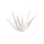 Zaloe Handmade Decorative Object