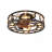Caged Ceiling Fan With Lights Remote Control, Pendant Lights