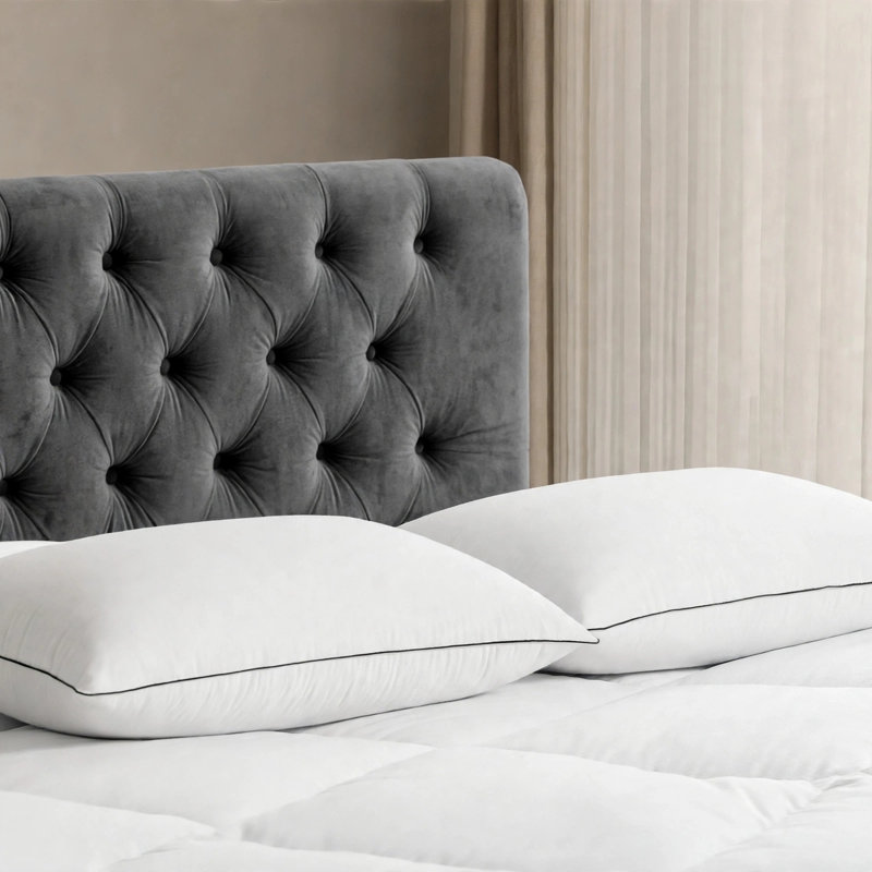 100% Organic Cotton Cover Luxury Hotel King Size Plush Feather Down Bed Pillows, King