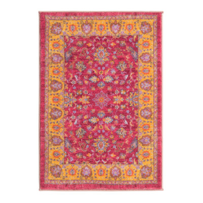 Oriental Indoor Rug