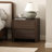 Linda 24" Modern Nightstand with 2 Drawers in Walnut Brown-116275882