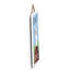 Sports Wall Decor-350509630