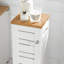 Harlen Freestanding Bathroom Cabinet