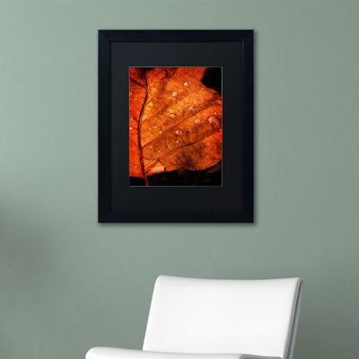 «Autumn Droplets» par Philippe Sainte-Laudy - reproduction de photo sur toile encadrée