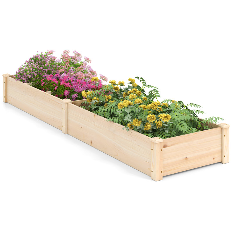 Wooden Raised Garden Bed w/ 2 Planter Boxes Divider Open-Ended Base for Flower