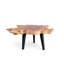 Solid Wood Coffee Table