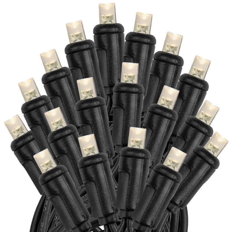 Mini-ensemble de petites chaînes à del pour l’extérieur 50' extérieur 100-ampoule, Blanc chaud, Noir