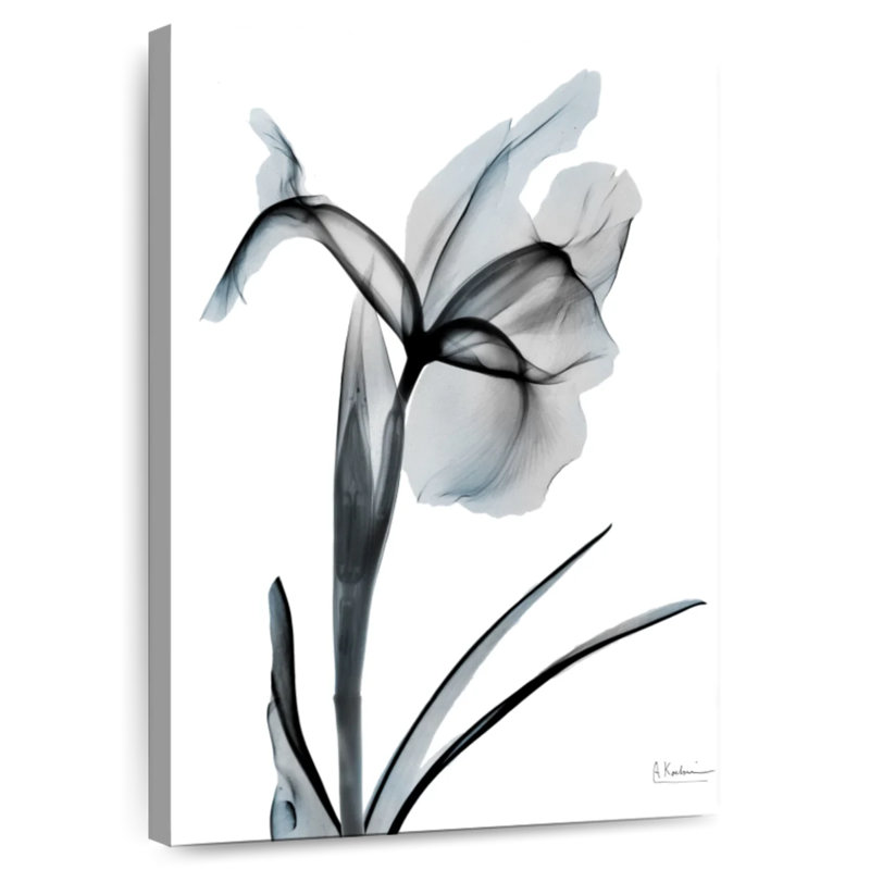 Harnek Ombre Sea Salt Iris I, 51" H x 34" W