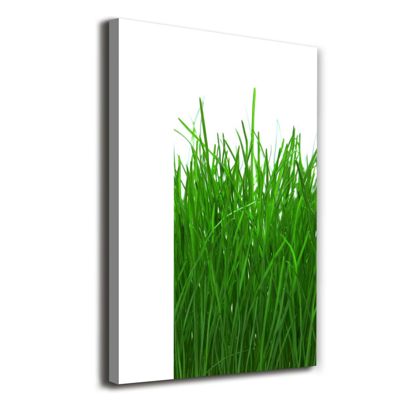 Grass - Wrapped Canvas Print