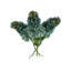 Luxe Cone Hydrangea Arrangement-69486214
