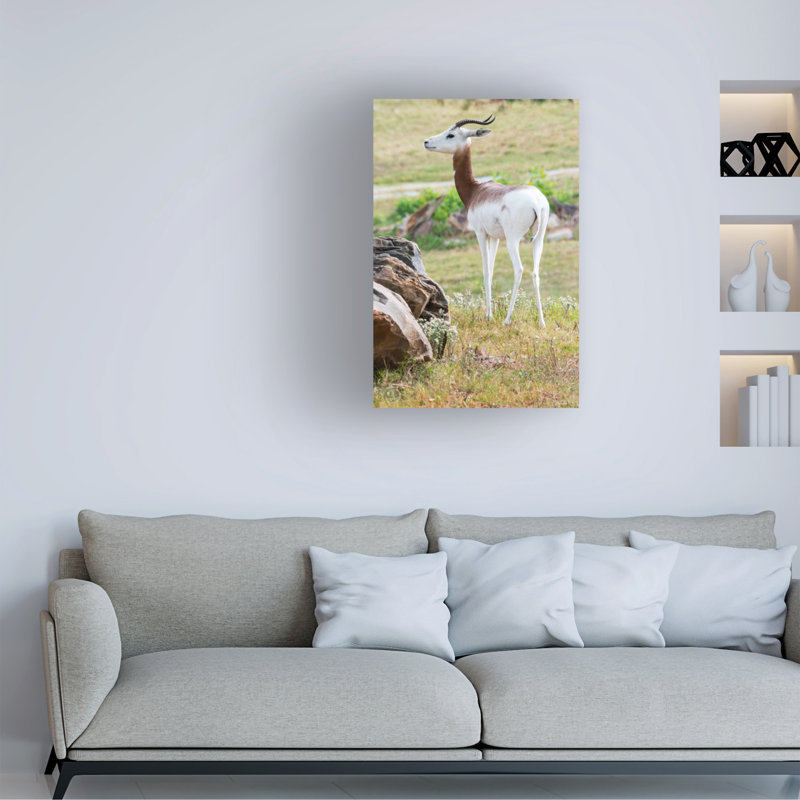 Art sur toile Robert Michaud «Addra Gazelle 1», H 24 po x l 16 po x P 2 po