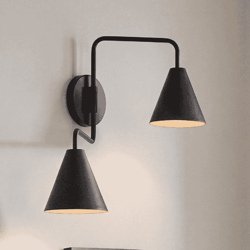 Emilyne 2-Light Adjustable Wall Sconce in Black, Black
