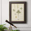 Toile encadrée de qualité supérieure Fern Study II - prête à être accrochée-34021716