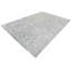 Wool Oriental Rug