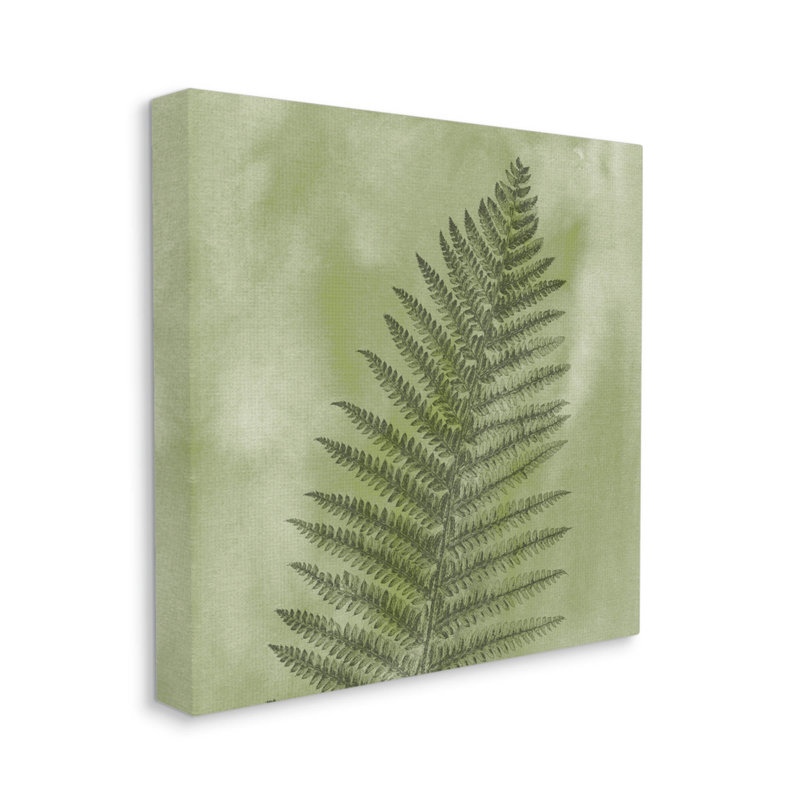 Art sauvage sur toile de fougère sauvage par Ziwei Li, L 24 po x H 24 po, Toile tendue
