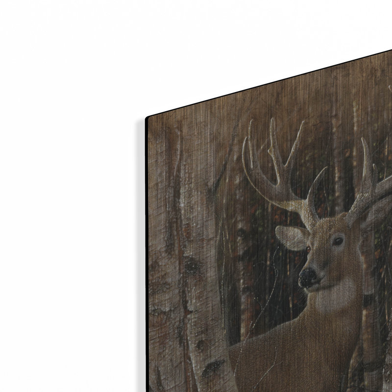 «Birchwood Buck» par Collin Bogle, H 24 po x l 16 po