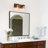Smither 2 - Light Dimmable Vanity Light