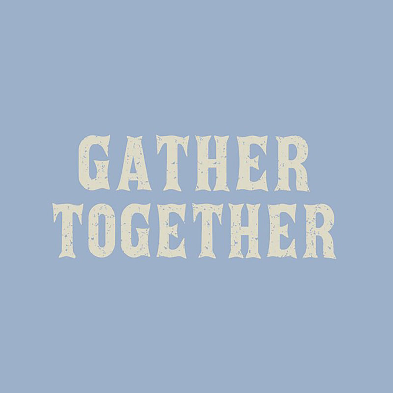 16" x 16" Outdoor Throw Pillow (Set of 2), Blue 1