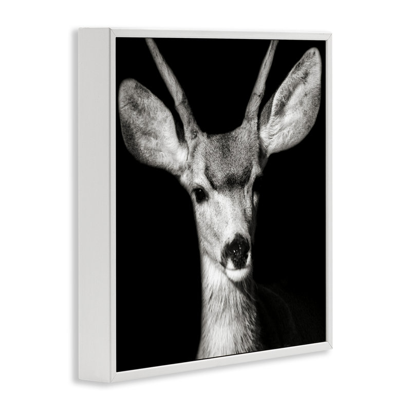 «Gazing Deer Portrait», art de la giclée encadrée par Kathy Mansfield, Giclée encadrée blanc bord de mer, H 24 po x l 24 po