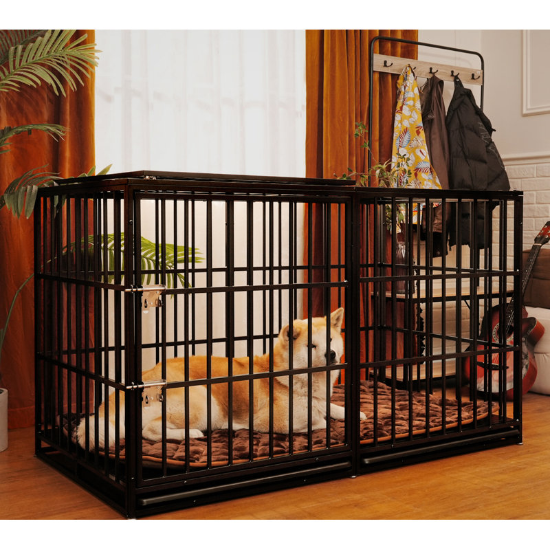 Cage pour chien robuste en cage pour chien