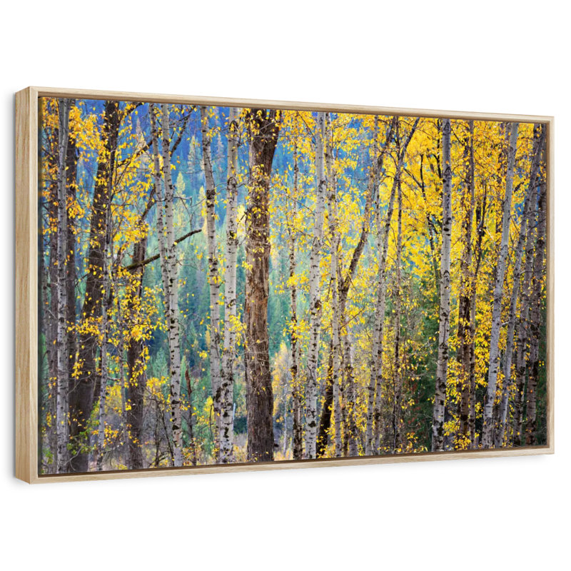 Kootenay Fall II, Cadre flottant en bois naturel, 13 po x 9 po