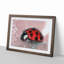 Red Ladybird Insect on a Pink Petal in Abstract - Picture Frame Painting Print-55771812-55771815