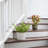 Lorna Ceramic Pot Planter with Saucer