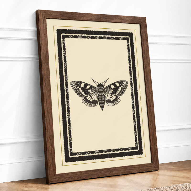 Specimen Study Japandi - Print, Walnut, A4 - 29.7 x 21.0 cm