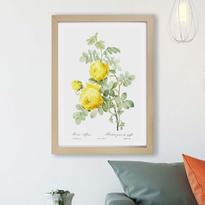 Yellow Roses by Pierre-Joseph Redoute - Framed Print