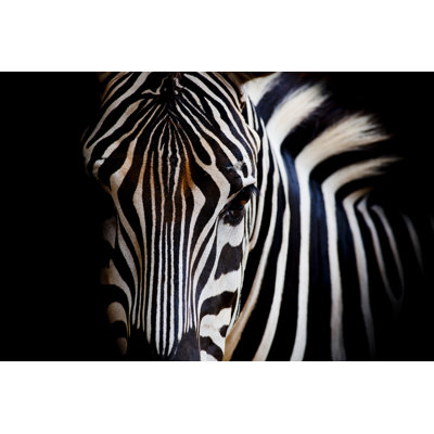 Burchell's Zebra par ZambeziShark - Photographie sur toile tendue