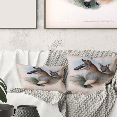 Housse et insert de coussin carré Kangaroo