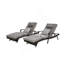 Ensemble de 2 chaises longues d'extérieur inclinables avec coussins et chaises longues inclinables-1116694762