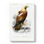 Eastern Imperial Eagle Illustration by Charles d' Orbigny - Wrapped Canvas-55316801